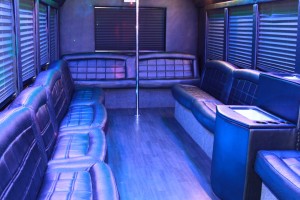 27 Passanger Party Bus
