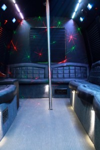 18 Passanger Party Bus