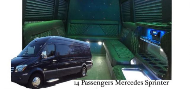 14 Pass Mercedes Benz Sprinter Limo