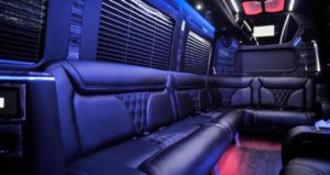 14 Pass Mercedes Benz Sprinter Limo