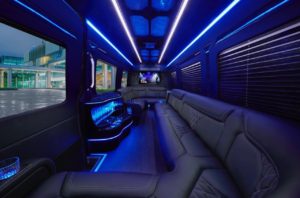 14 Pass Mercedes Benz Sprinter Limo