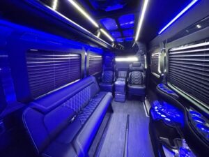 10 Pass Mercedes Benz Sprinter Limo