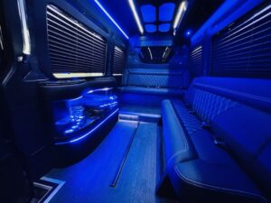 10 Pass Mercedes Benz Sprinter Limo